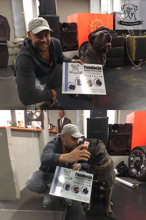 Wspaniały TEDE również wspiera Corsiaki bezdomne Corsiaki a nawet baaa były i buziaki !